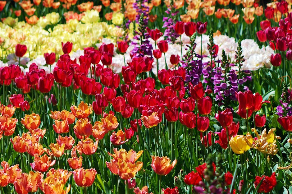Kwiaty w ogrodzie botanicznym